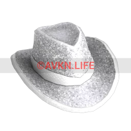 USAesthetic Country King Hat