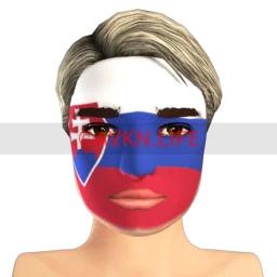 Slovakian Flag Facepaint