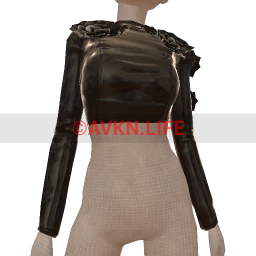 Front Row 3D Appliqu? Leather Cropped Top 