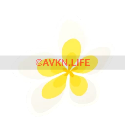 Yellow Zen Sticker