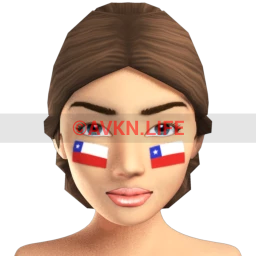 Chilean Flag Facepaint