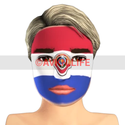 Paraguayian Flag Facepaint