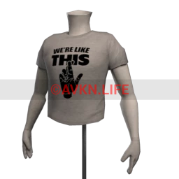 Foal "We're Like This" T-Shirt