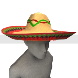 Puebla Sombrero