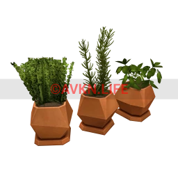 Terracotta Decorative Plants