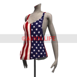 Stars and Stripes Vest