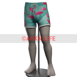 Kijane Flamingo Swim Shorts