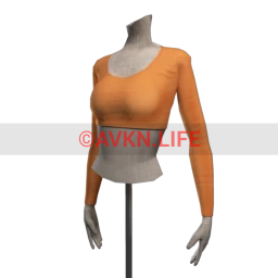 Drop Science Long Sleeve Crop Top - Orange