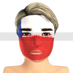 Chilean Flag Facepaint