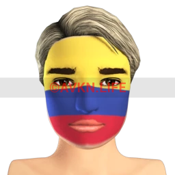 Colombian Flag Facepaint