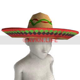 Puebla Sombrero