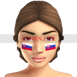 Slovakian Flag Facepaint