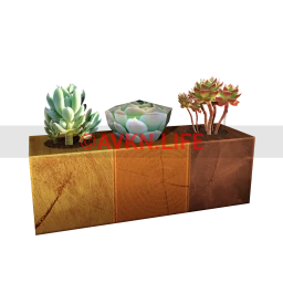 Wanderlust Whirlpool Marga Plant Blocks