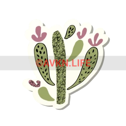 Cactus Blossom Sticker