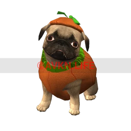 Pumpkin Pug