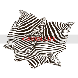 Faux Zebra Hide Rug