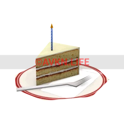 Slice of Birthday Cake