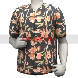 Steve Shirt