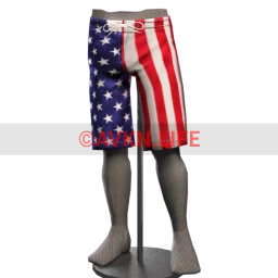 Stars and Stripes Shorts