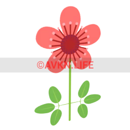 Brazil Red Flower Sticker