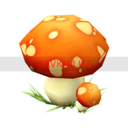 Enchanted Toadstool