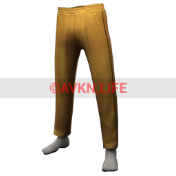 Gold Velour Joggers