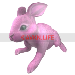 Bunny - Pink