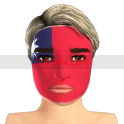 Taiwanese Flag Facepaint