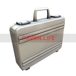 High-Capacity Storage Briefcase (Silver)