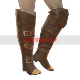 Cosmos Last Doubloon Boots