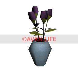 Vase of Black Roses