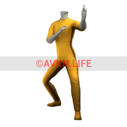 Kung Fu Suit