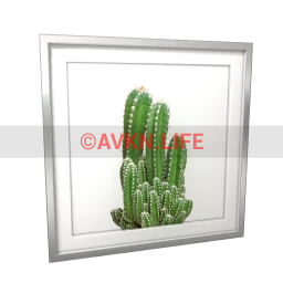 Emerald Sky Pilosocereus Wall Art