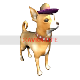Sombrero Chihuahua