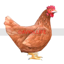 Chicken (Brown)
