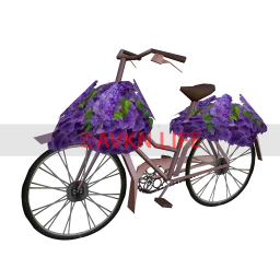 Amour Hyacinth Bicycle