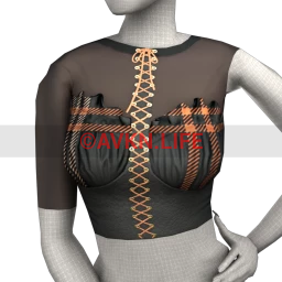 Delirious Tartan Goth Crop Top