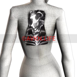 X-Ray Back Tattoo