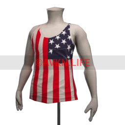 Front Row American Flag Vest