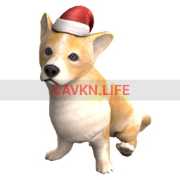 Festive Corgi