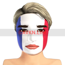 French Flag Facepaint