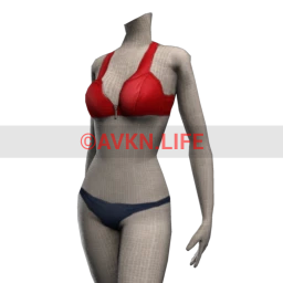 SHFTR Lifeguard Bikini