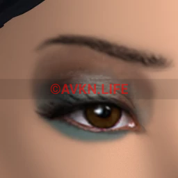 Flawless Darkened Sky Eye Blush