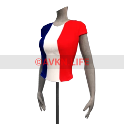 French Flag T Shirt