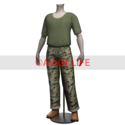 SHFTR Army Physical Training Uniform