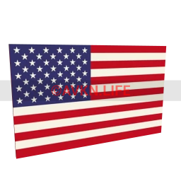 American Flag Poster