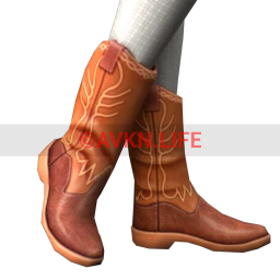 Farm Festival Cowboy Boots