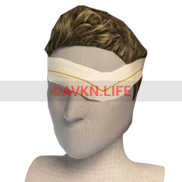 SHFTR Eye Bandage (for Male)