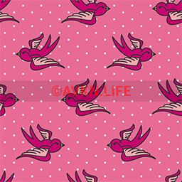 Pink Swallows