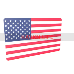 USA Flag Sticker